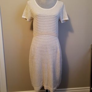 NWT Anthropologie cream and gold knit dress